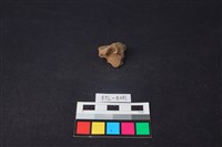 鹿骨藏品圖，第1張