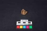 鹿骨藏品圖，第2張