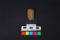 獸骨藏品圖，第2張