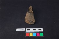 鹿骨藏品圖，第2張