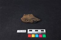 鹿骨藏品圖，第3張