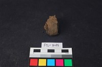 獸骨藏品圖，第1張