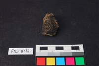 獸骨藏品圖，第2張