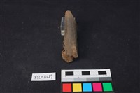 獸骨藏品圖，第1張