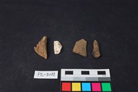 獸骨藏品圖，第1張