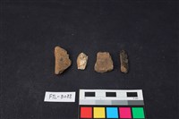 獸骨藏品圖，第2張