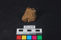 鹿骨藏品圖，第1張