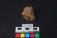 鹿骨藏品圖，第2張