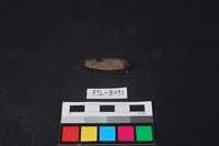 獸骨藏品圖，第1張