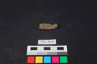 獸骨藏品圖，第2張