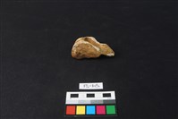 鹿骨藏品圖，第3張