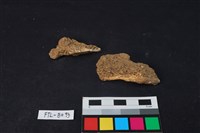 獸骨藏品圖，第2張