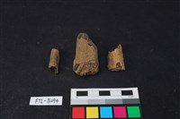 獸骨藏品圖，第2張