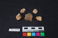 獸骨藏品圖，第2張