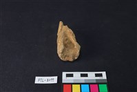 鹿骨藏品圖，第1張