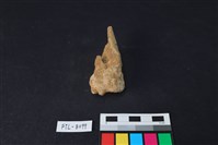 鹿骨藏品圖，第2張