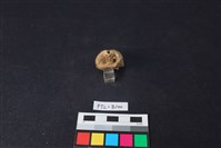 鹿骨藏品圖，第2張