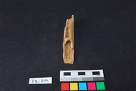 鹿骨藏品圖，第1張