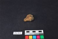 獸骨藏品圖，第1張