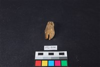 鹿骨藏品圖，第2張