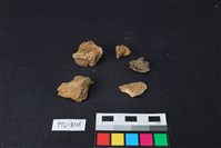 獸骨藏品圖，第2張