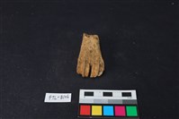 鹿骨藏品圖，第3張