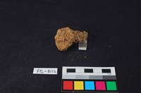 鹿骨藏品圖，第2張