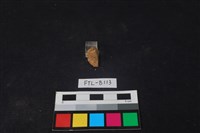 獸骨藏品圖，第2張