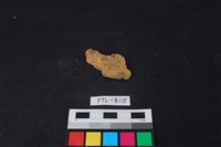 獸骨藏品圖，第1張