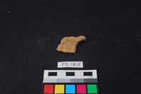 獸骨藏品圖，第2張