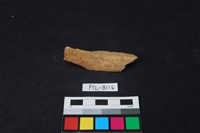 鹿骨藏品圖，第2張