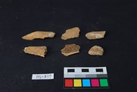 獸骨藏品圖，第2張