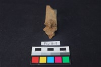 鹿骨藏品圖，第2張