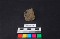 獸骨藏品圖，第2張