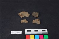 獸骨藏品圖，第1張