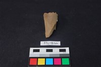 獸骨藏品圖，第2張