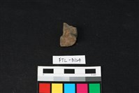 獸骨藏品圖，第2張