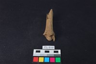 獸骨藏品圖，第2張