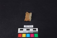 獸骨藏品圖，第1張