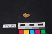 豬骨藏品圖，第1張