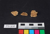 獸骨藏品圖，第2張