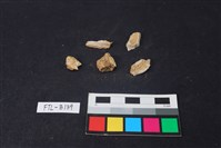 獸骨藏品圖，第1張