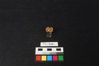 鹿骨藏品圖，第3張