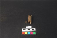 獸骨藏品圖，第2張