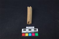 獸骨藏品圖，第1張