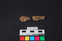 獸骨藏品圖，第2張