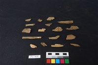 獸骨藏品圖，第1張