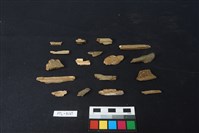 獸骨藏品圖，第2張