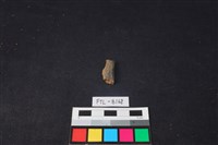 獸骨藏品圖，第2張