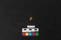 獸骨藏品圖，第1張